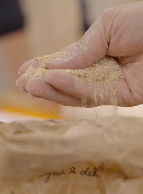 Novalux per Antoniano: quando la luce diventa solidarietà 